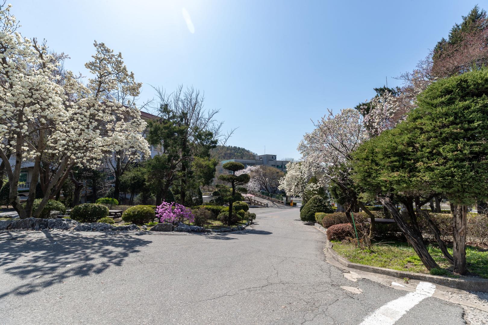 병원사진_1.jpg