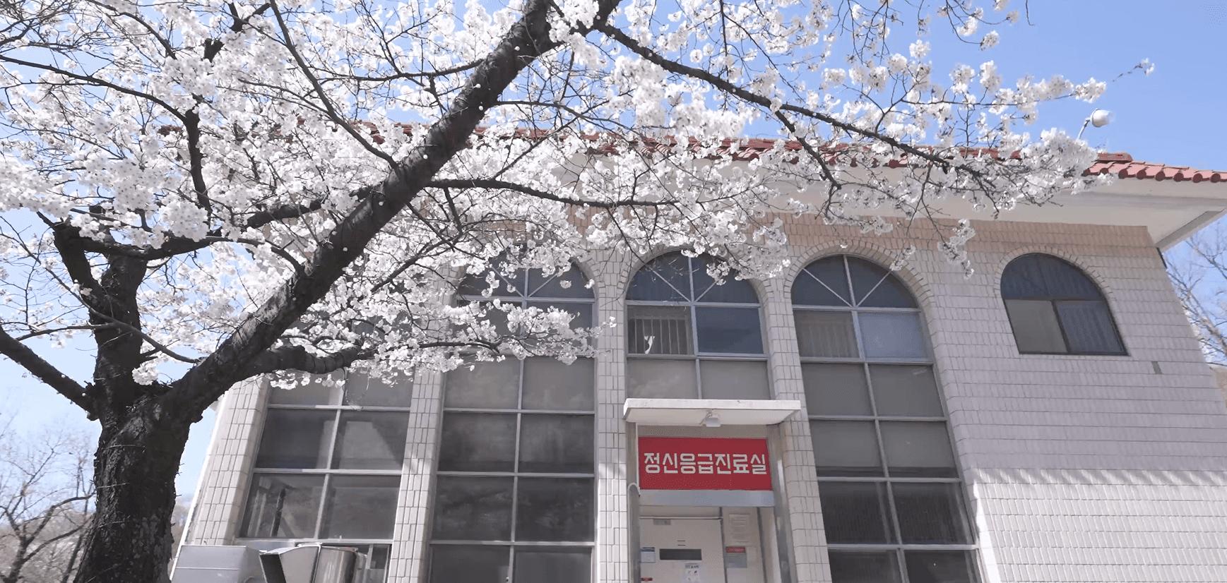 응급입원.png.jpg